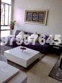 Dahlia Park Condominium (D17), Condominium #161884352